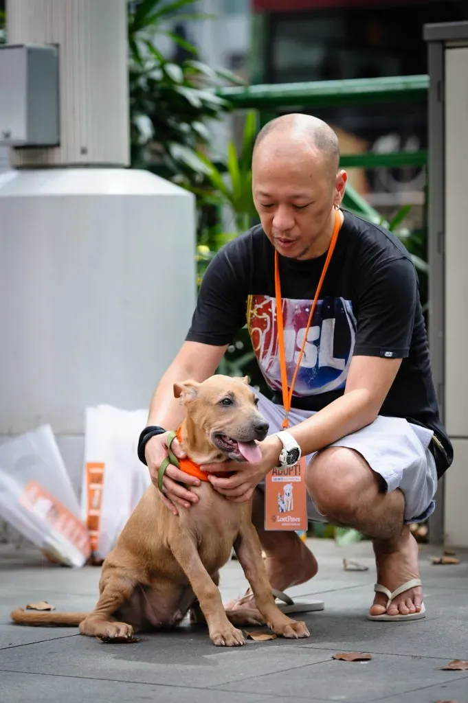 Puppy with an adoption volunteer