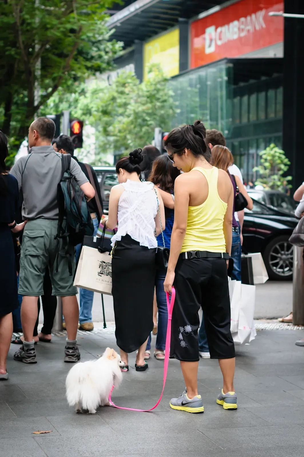 Girl in yellow walking a dog in Orchard Road