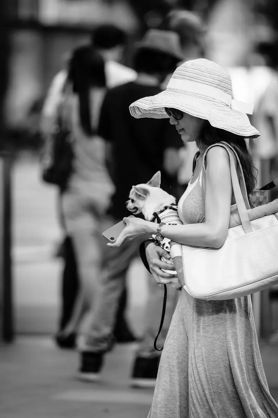 Lady wearing a hat and carrying a toy dog