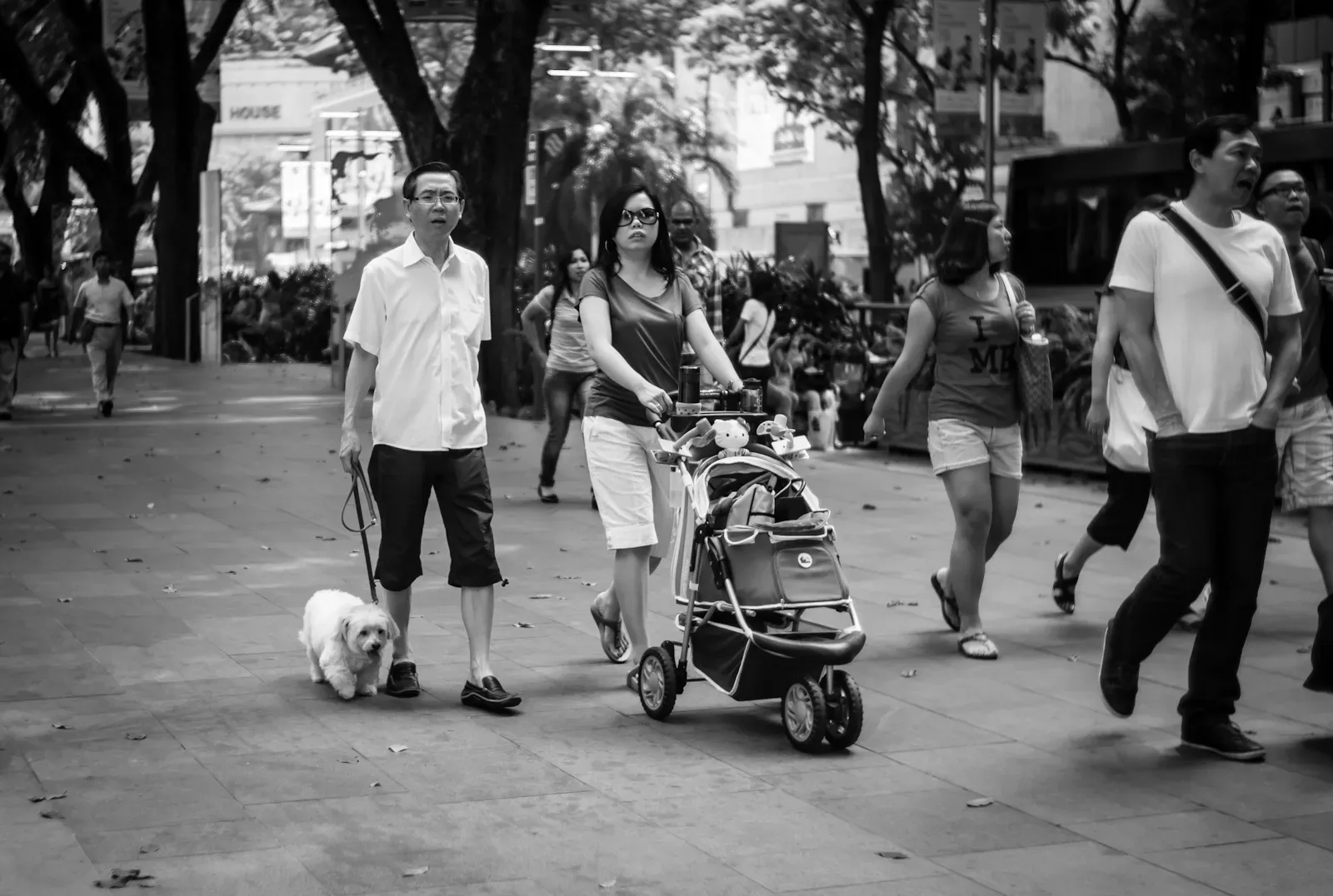 Couple pushing a pram for their pet dog