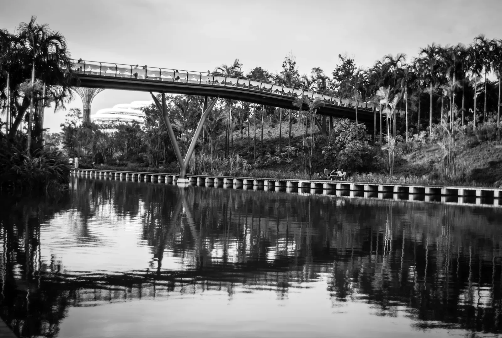 A bridge and its reflection in the water