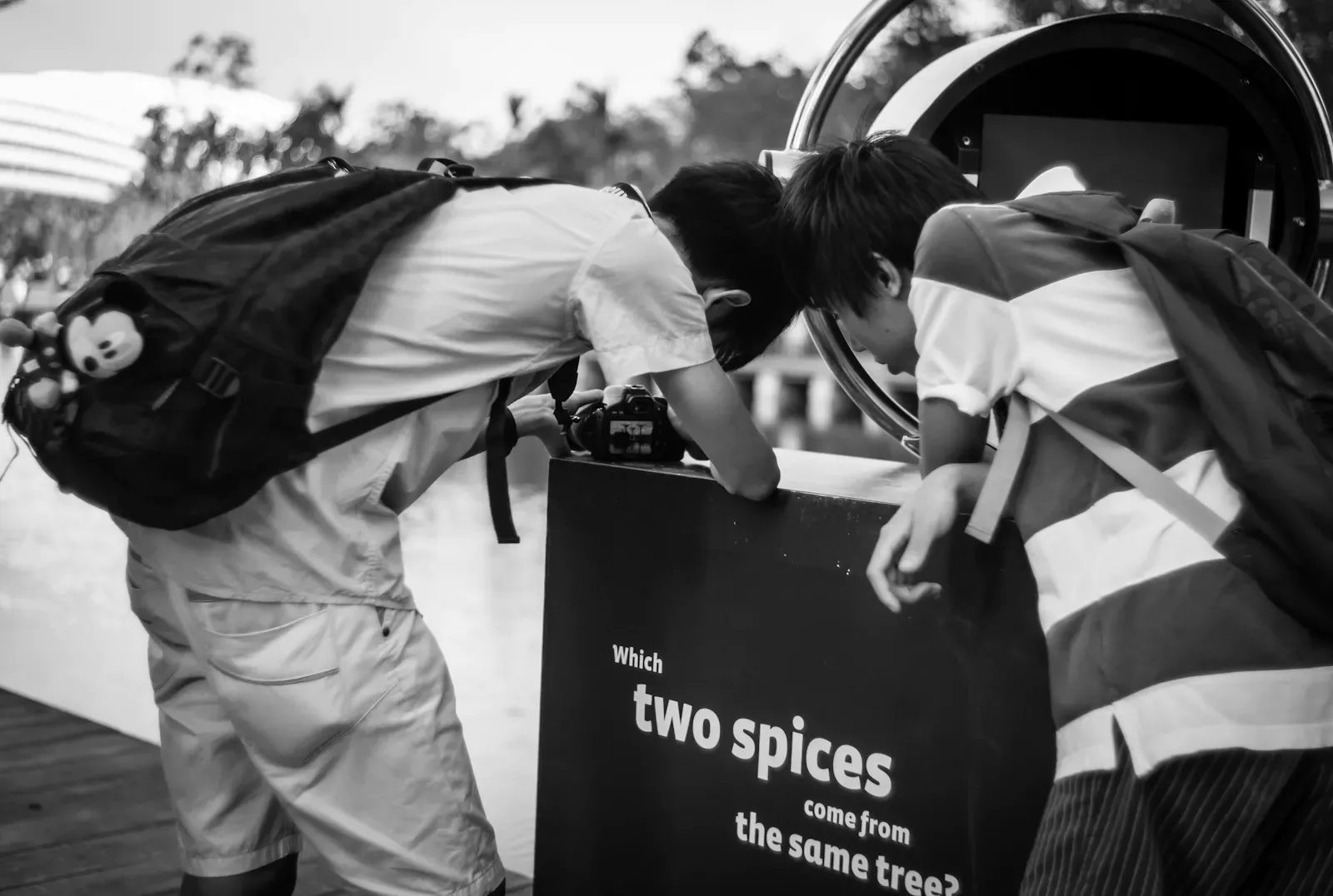 Two young photographers