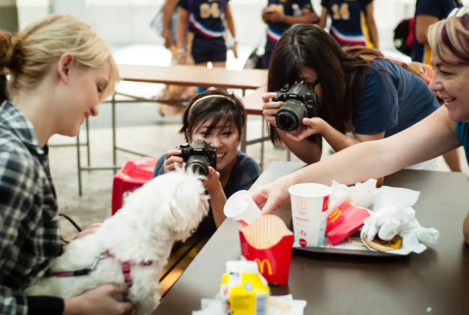 Two photographers taking photos of a dog found in McDonald''s at Scape in Orchard