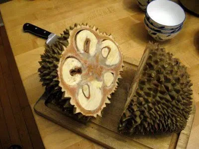 Wrong way to open a durian