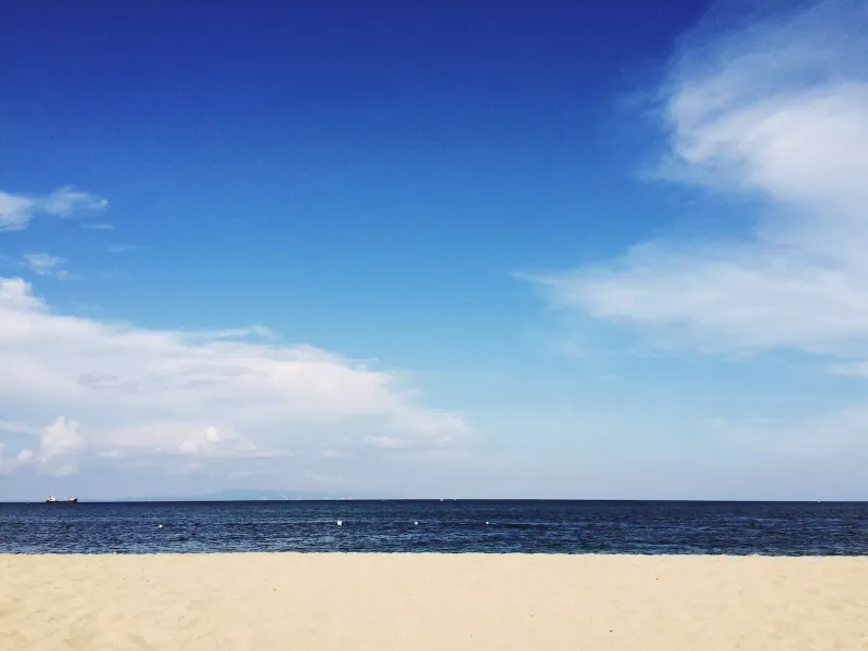 Mindful memory