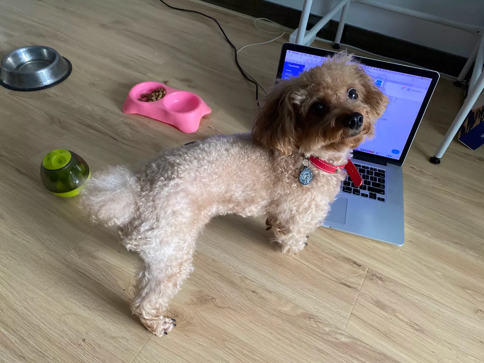 Standing desk