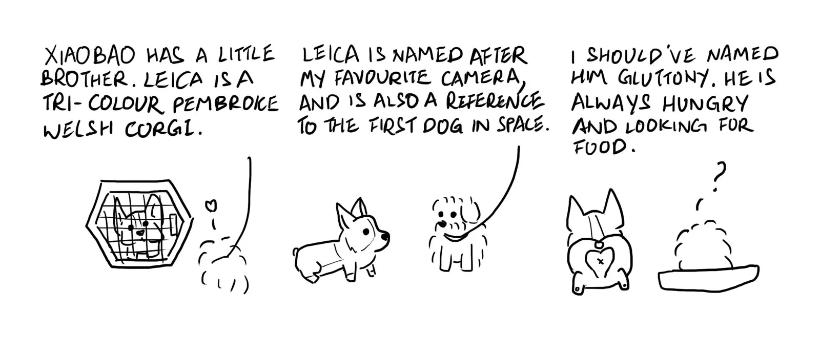 Leica comes home