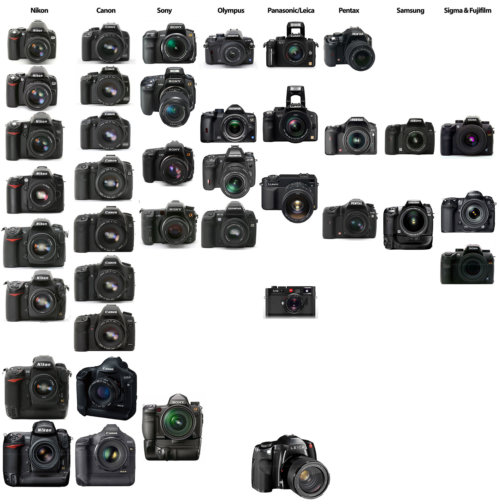 Choosing a DSLR camera